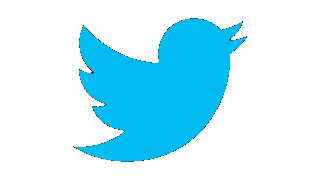 Twitter Bird