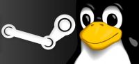 linux steam