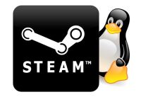 Steam-Linux