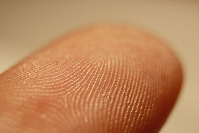 Fingerprint detail on male finger